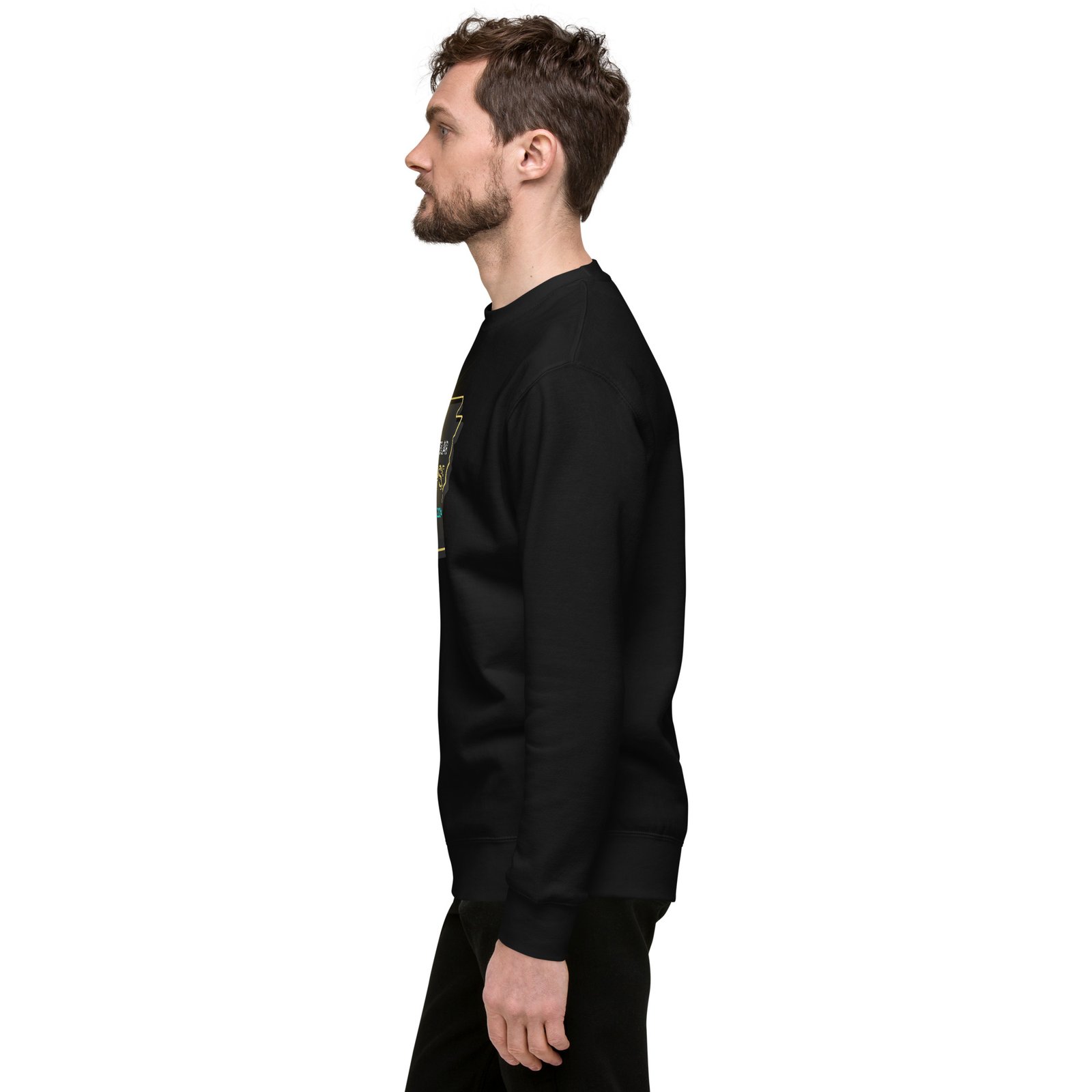 unisex-premium-sweatshirt-black-left-65e4b979e1f86.jpg