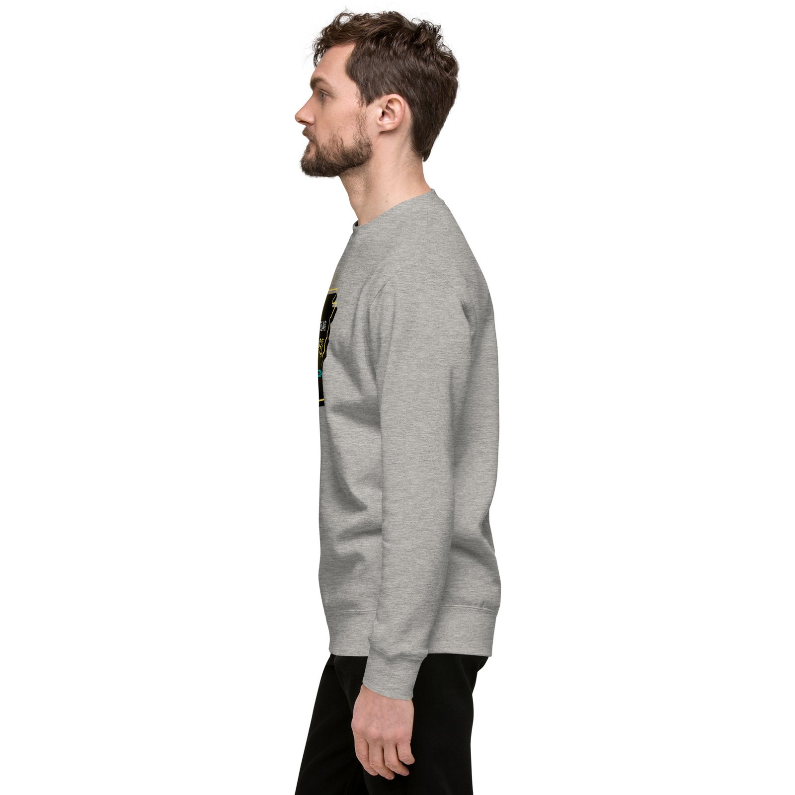 unisex-premium-sweatshirt-carbon-grey-left-65e4b97a00833.jpg