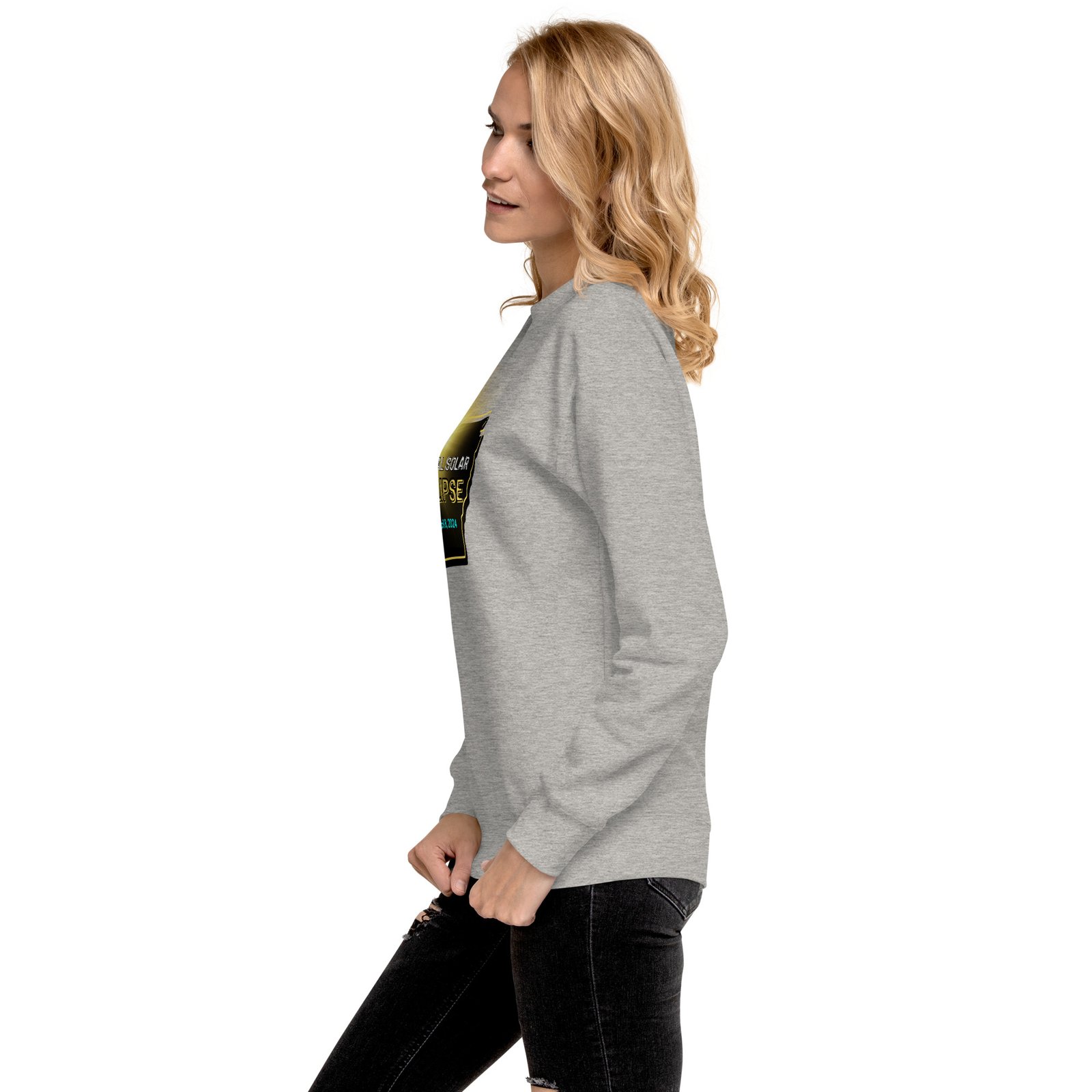 unisex-premium-sweatshirt-carbon-grey-left-65e507a00c2fd.jpg