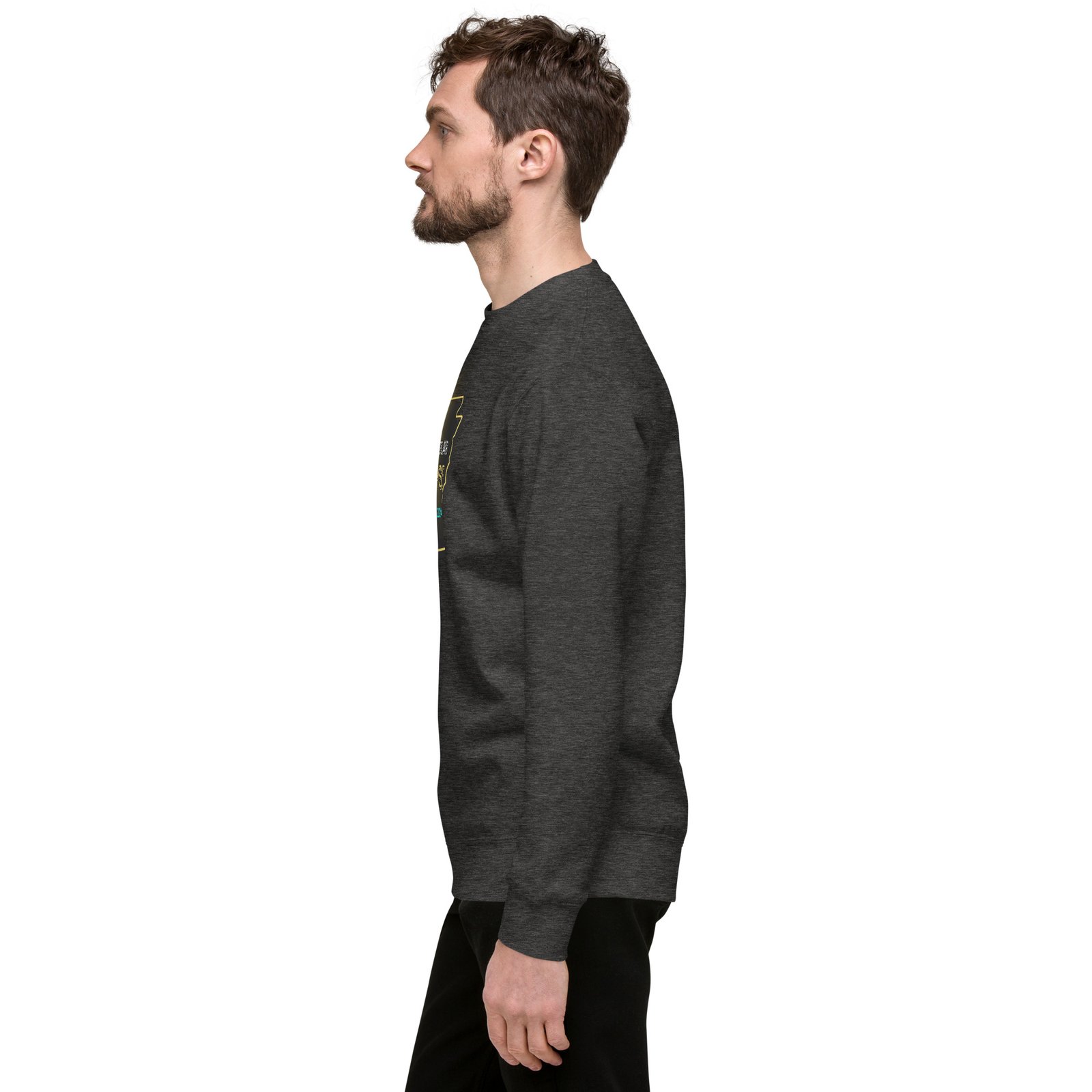 unisex-premium-sweatshirt-charcoal-heather-left-65e4b979e5ac5.jpg