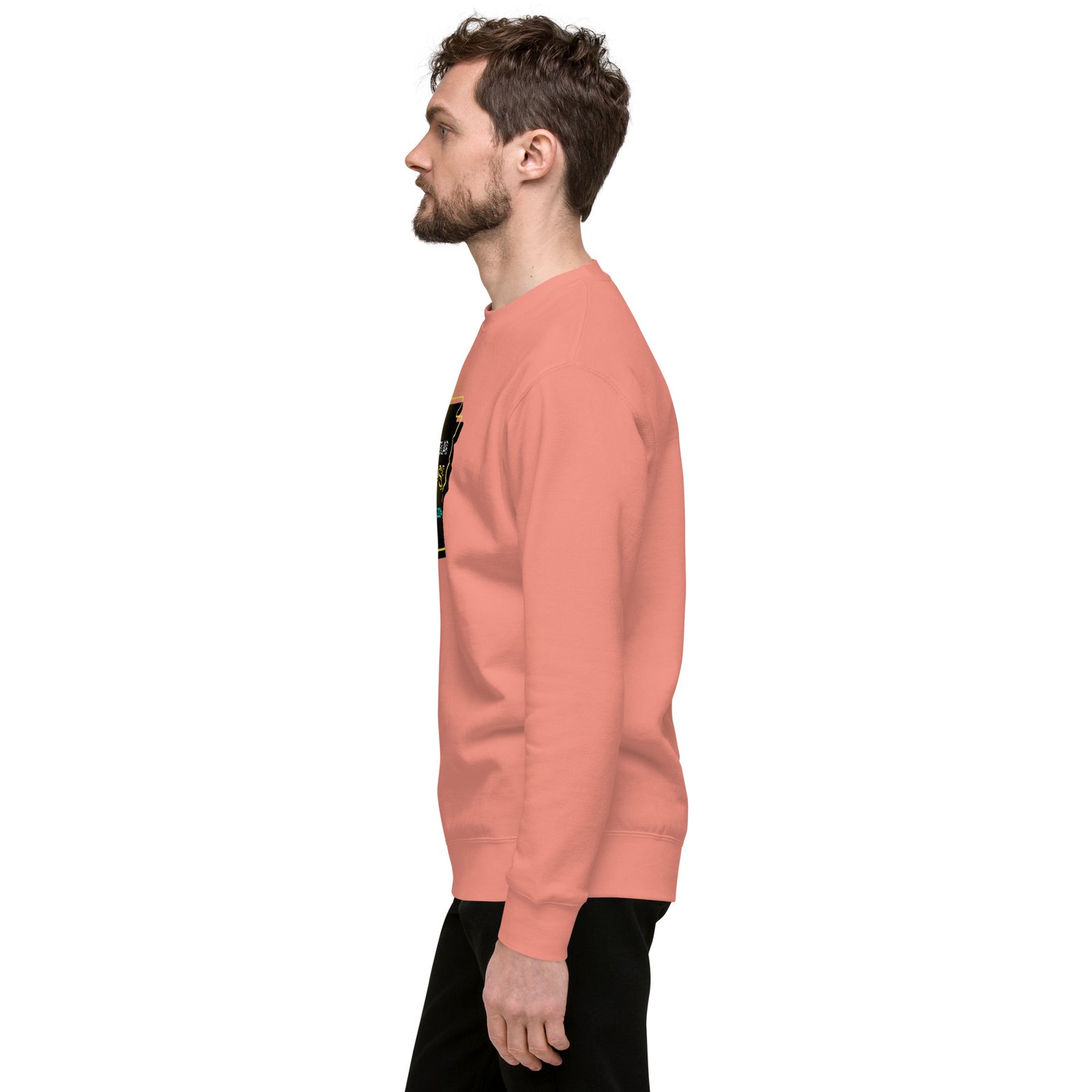 unisex-premium-sweatshirt-dusty-rose-left-65e4b979ee614.jpg