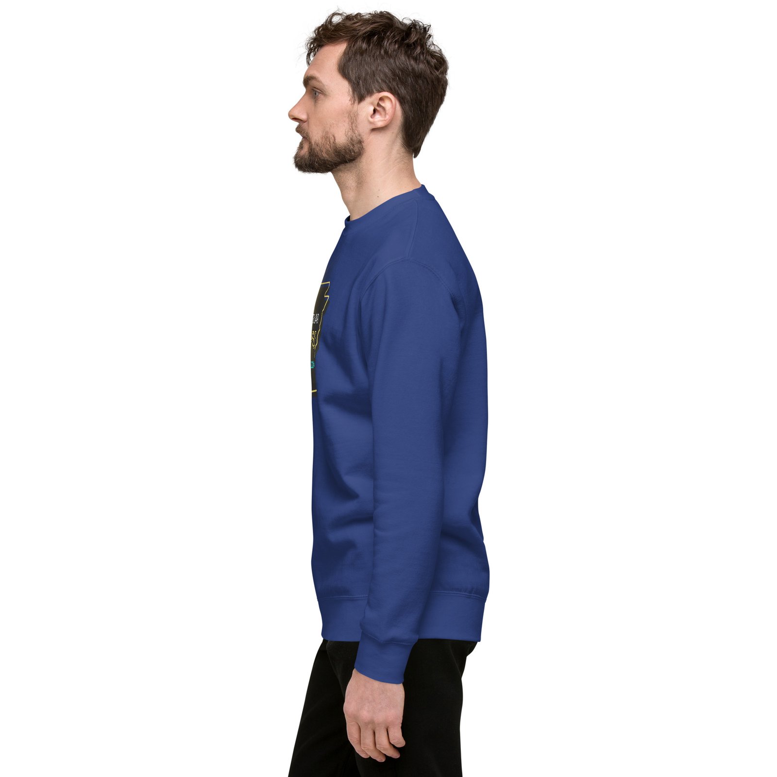 unisex-premium-sweatshirt-team-royal-left-65e4b979e941f.jpg